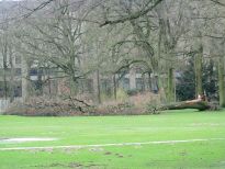 Viele entwurzelte Bäume liegen nach den drei schweren Stürmen im Bürgerpark